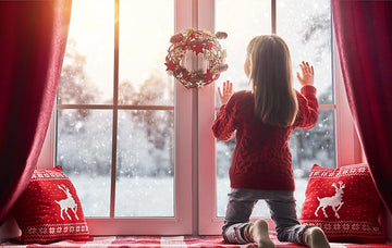 Window Decoration For Snow Background Christmas Backdrop IBD-H19155 - iBACKDROP